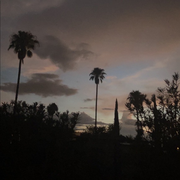 Meet your Posher, Aly - Picture 1 of 1